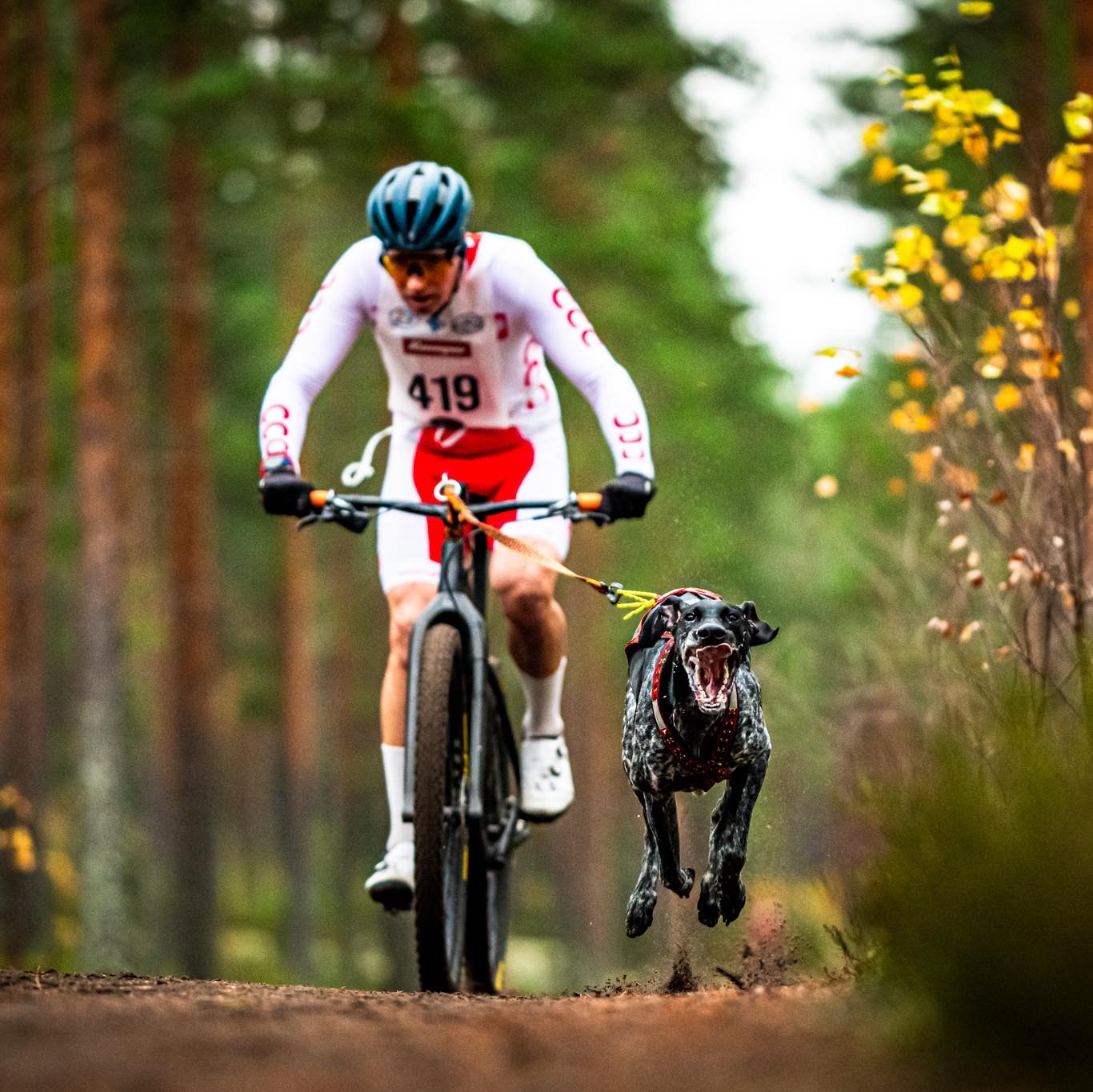 Kwalifikacje - medale